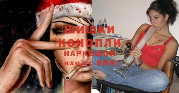 шишки Алексеевка