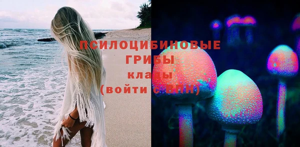 спиды Алзамай